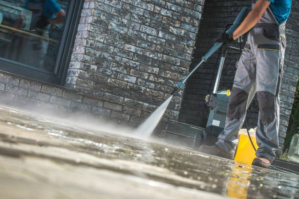 Best Sidewalk and Walkway Cleaning  in Sheldon, IL